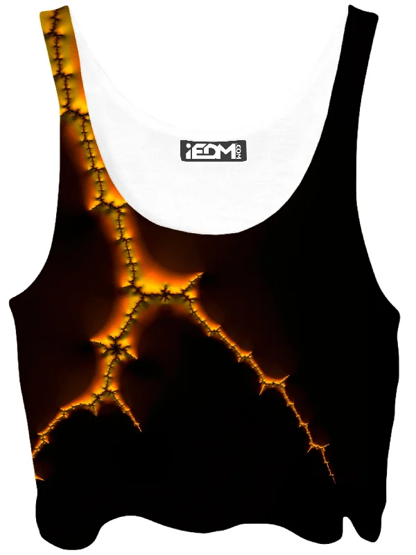 Lightning Strike Crop Top Mesh Blend Leather Blend Suede Blend
